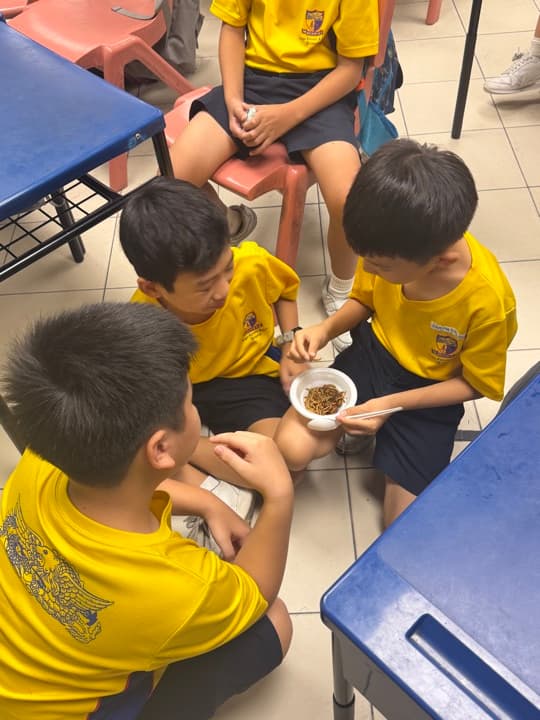 Students exploring edible insects as part of a Food Security (Resilient Futures) ALP.