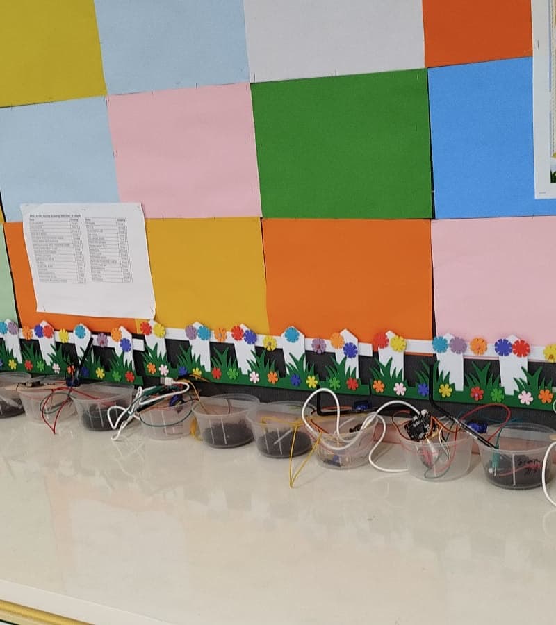 Row of finished self-watering plant prototypes lined up in a classroom